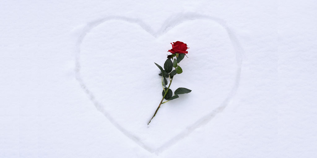 Flower Cold Chain Logistics Make Valentine's Day Roses Possible